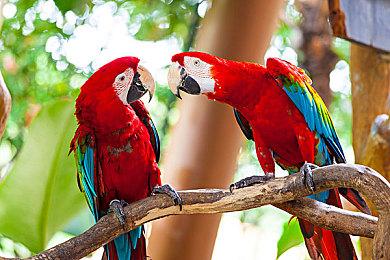 《刺客信条：英灵殿》上架Steam 将于12月7日发售